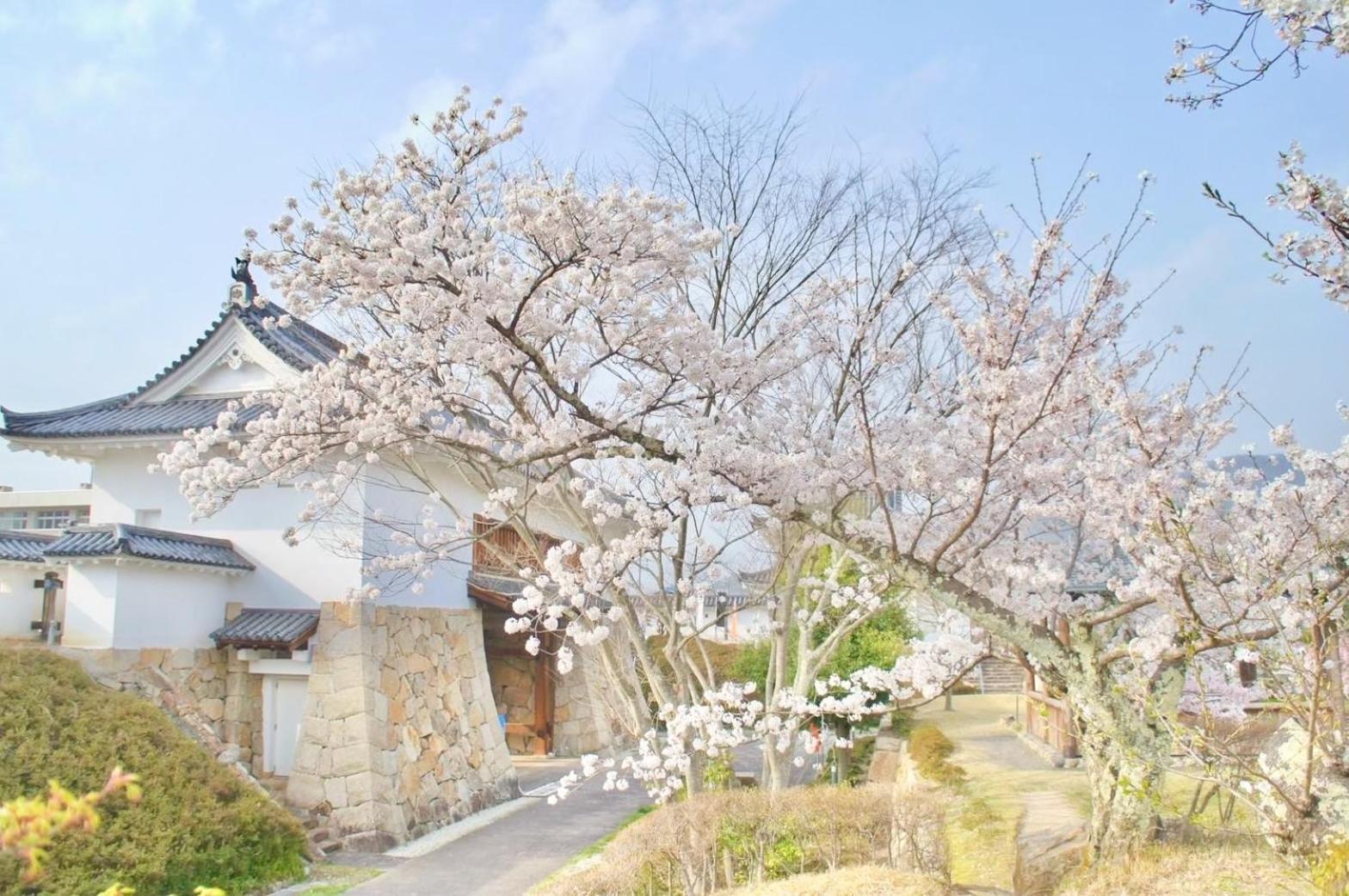 古民家の宿宰嘉庵 Traditionaljapanisehotel Saikaan Maizuru Luaran gambar