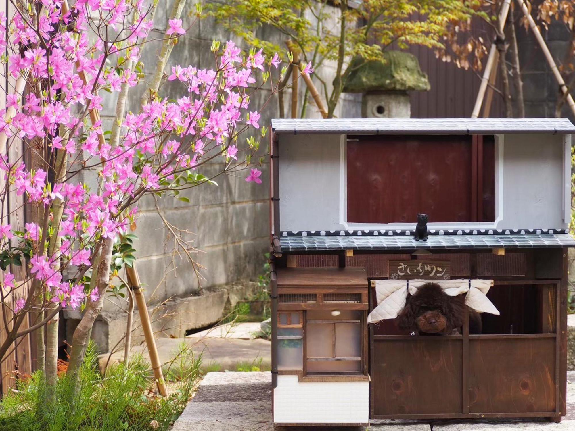 古民家の宿宰嘉庵 Traditionaljapanisehotel Saikaan Maizuru Luaran gambar