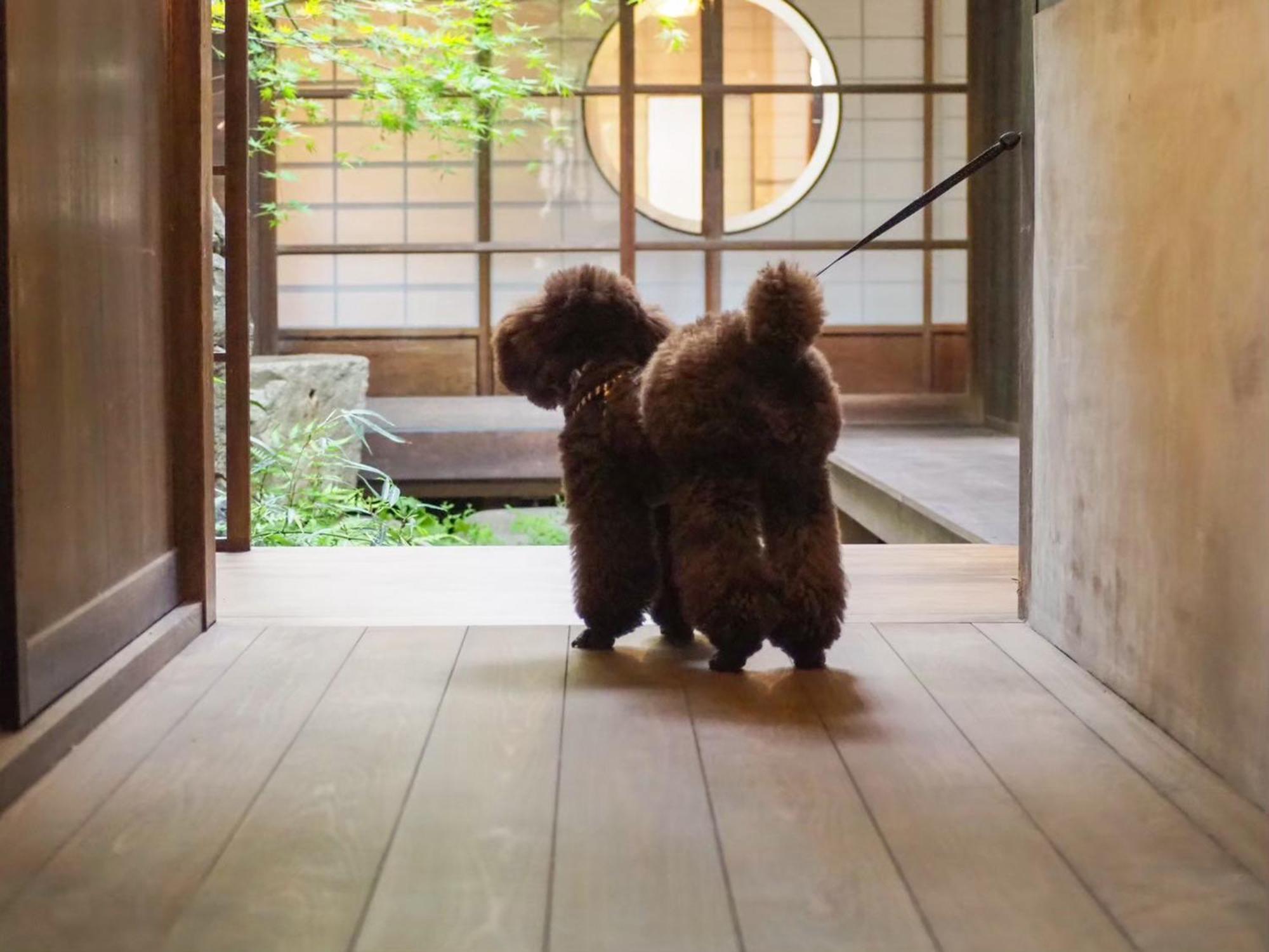 古民家の宿宰嘉庵 Traditionaljapanisehotel Saikaan Maizuru Luaran gambar